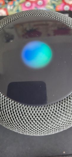 Apple Ipod +Apple Homepod
