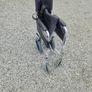 wheelchair Image 2