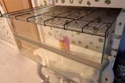 Large Reptile Glass Cage with all equipment