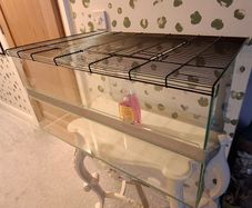 Glass Hamster Cage with all equipment.