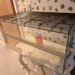 Glass Hamster Cage with all equipment.