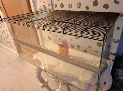Large Reptile Glass Cage with all equipment