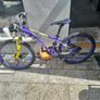 Carrera Luna Junior Mountain Bike Image 3