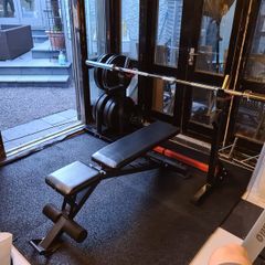 Gym squat rack, bench, and plate holder