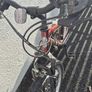 Bike Girls Image 6