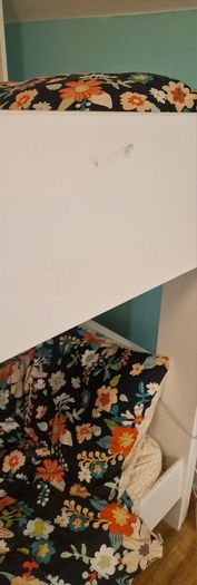 Parisot LEO Bunk Bed with Built-In Storage/Shelving