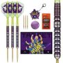 Target Luke Littler World Champion Darts 90% Swiss 23g Image 2