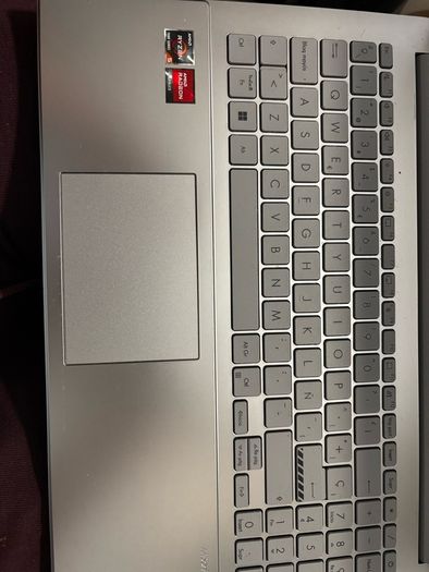 Asus Vivobook Go 15 laptop