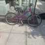 2 bikes boy and girl Image 4