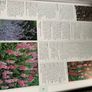 The RHS A-Z Garden Encyclopedia (Hardbck, 1996) Image 7