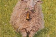 Original Oil Painting