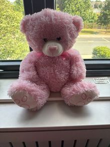 teddy