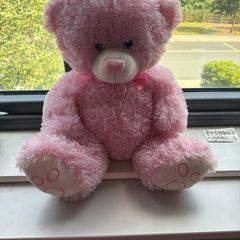 teddy