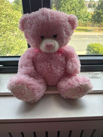 teddy