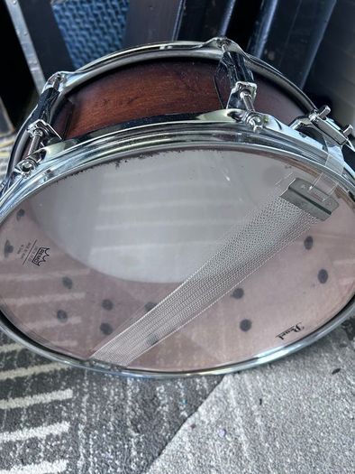 Pearl Decade Maple