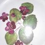 Stunning hand painted china Image 2