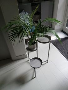 Pot Stand