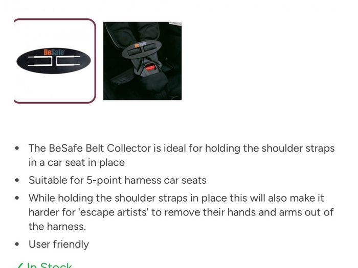 BeSafe Belt