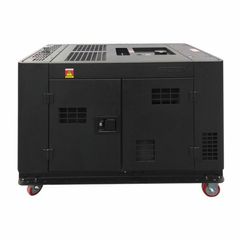 Generator Proton 12000 230 Oasis