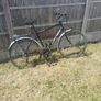 bike Image 6