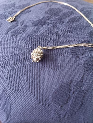 Silver necklace with a hedgehog silver pendant 45cm long chain 925 silver in very good condition with no issues FREE STANDARD POSTAGE INCLUDED