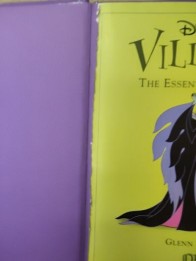 Disney Villains Book