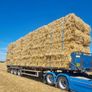 Straw , barley & weaten Image 6