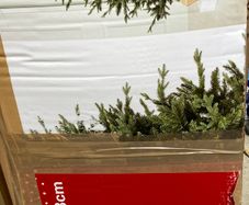 Christmas tree