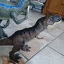 Jurassic world dinosaurs Image 5