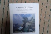 Ardnacrusha - birthplace of the ESB by Paul Duffy