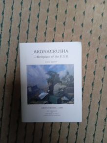 Ardnacrusha - birthplace of the ESB by Paul Duffy