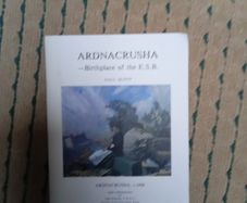 Ardnacrusha - birthplace of the ESB by Paul Duffy