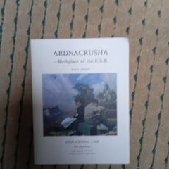 Ardnacrusha - birthplace of the ESB by Paul Duffy