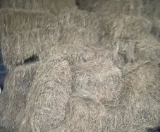 Hay square bales