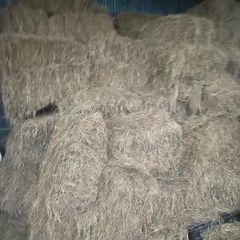 Hay square bales