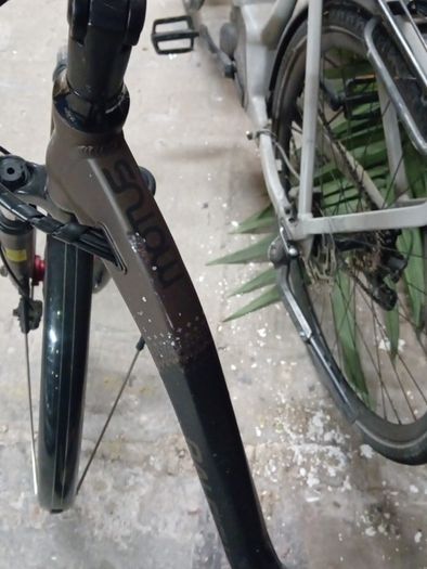 bicycles