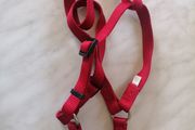 Dog Harness