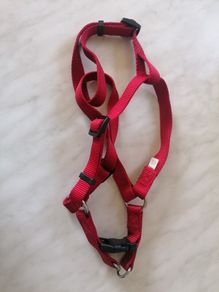 Dog Harness