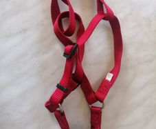 Dog Harness