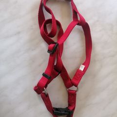 Dog Harness