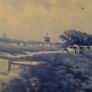 Antique Hand painted plate Image 3