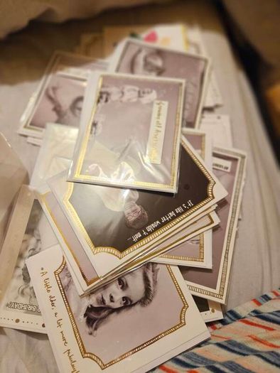 Bundle of Fun Greeting Cards