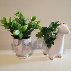 Plants with Pots