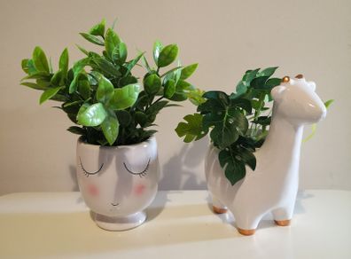 Plants with Pots