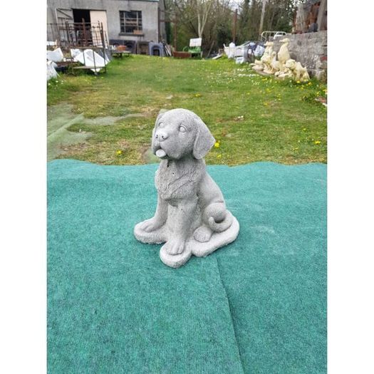 Dog  Tongue out DS031