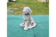 Dog Tongue out DS031