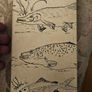 The Experienced Angler Or Angling Improved Vintage 1969 Hardback With Dustjacket In Good Condition.  See Photos For Same. Image 3