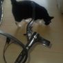 shimano disc brake Image 3