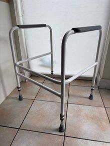 Toilet safety rail