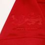 British & Irish Lions Canterbury Jersey Size Age 14years Image 6